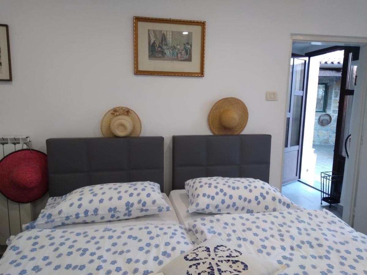 דקאני Tourist Farm With Apartments Fig Tree מראה חיצוני תמונה